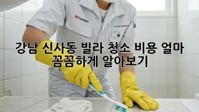 강남 신사동 빌라 청소 비용 얼마? 꼼꼼하게 알아보기